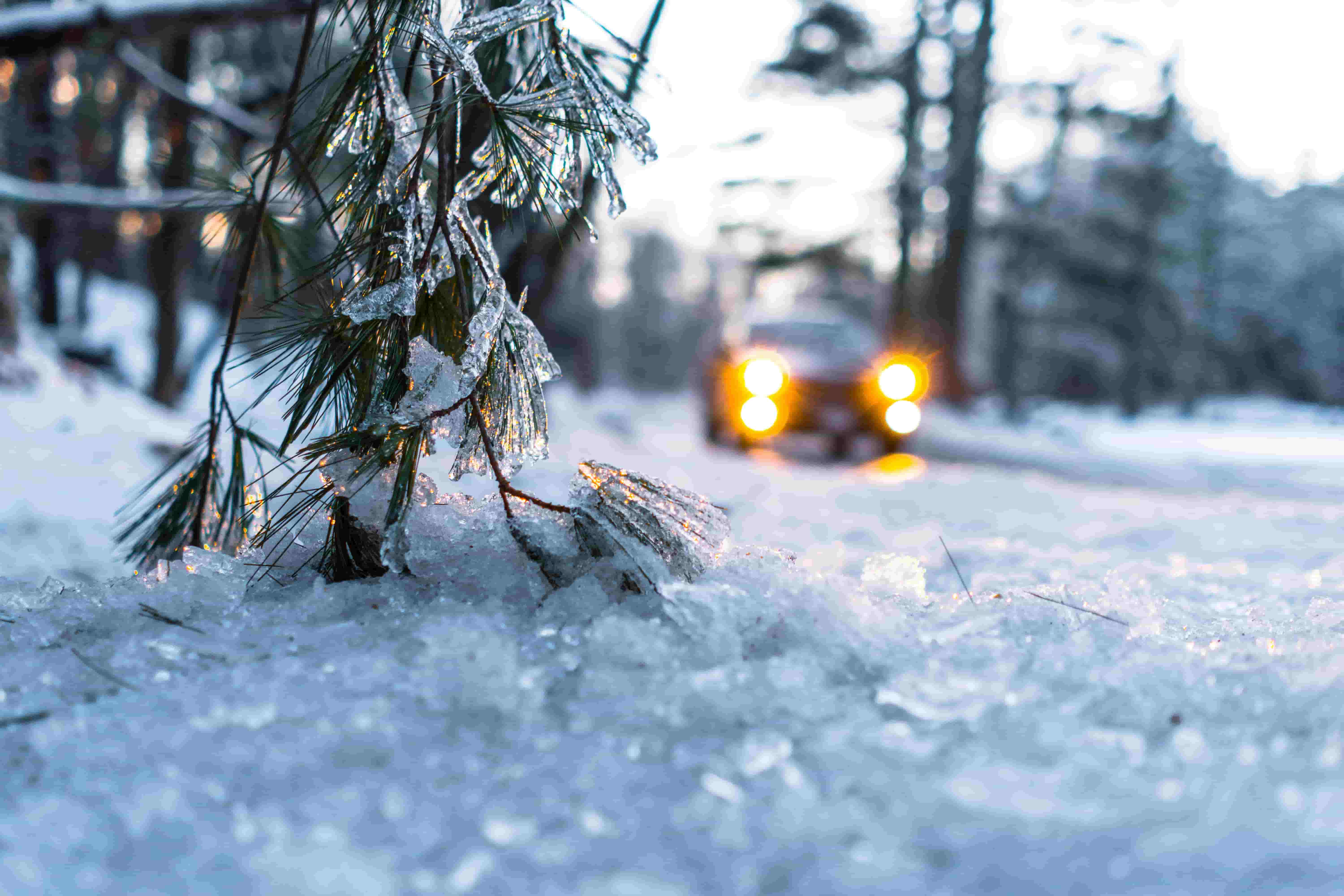 guida sulla neve